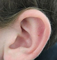 Ear